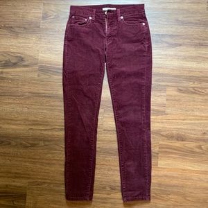 Maroon Corduroy Fossil Pants